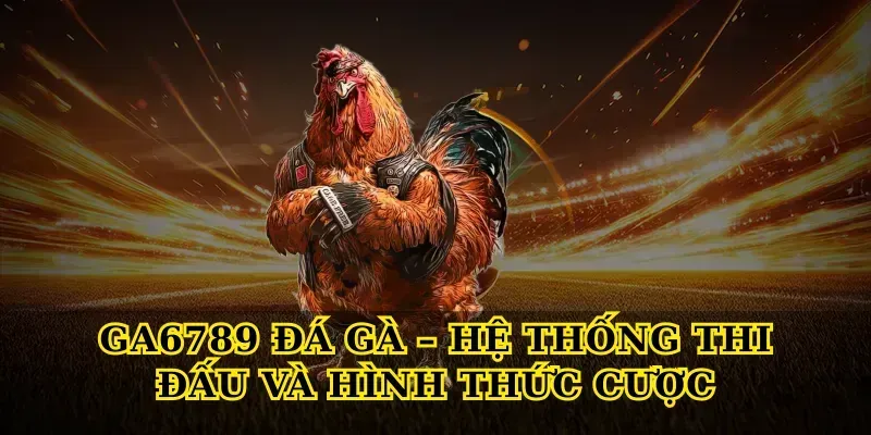 GA6789 Đá Gà – Hệ Thống Thi Đấu Và Hình Thức Cược